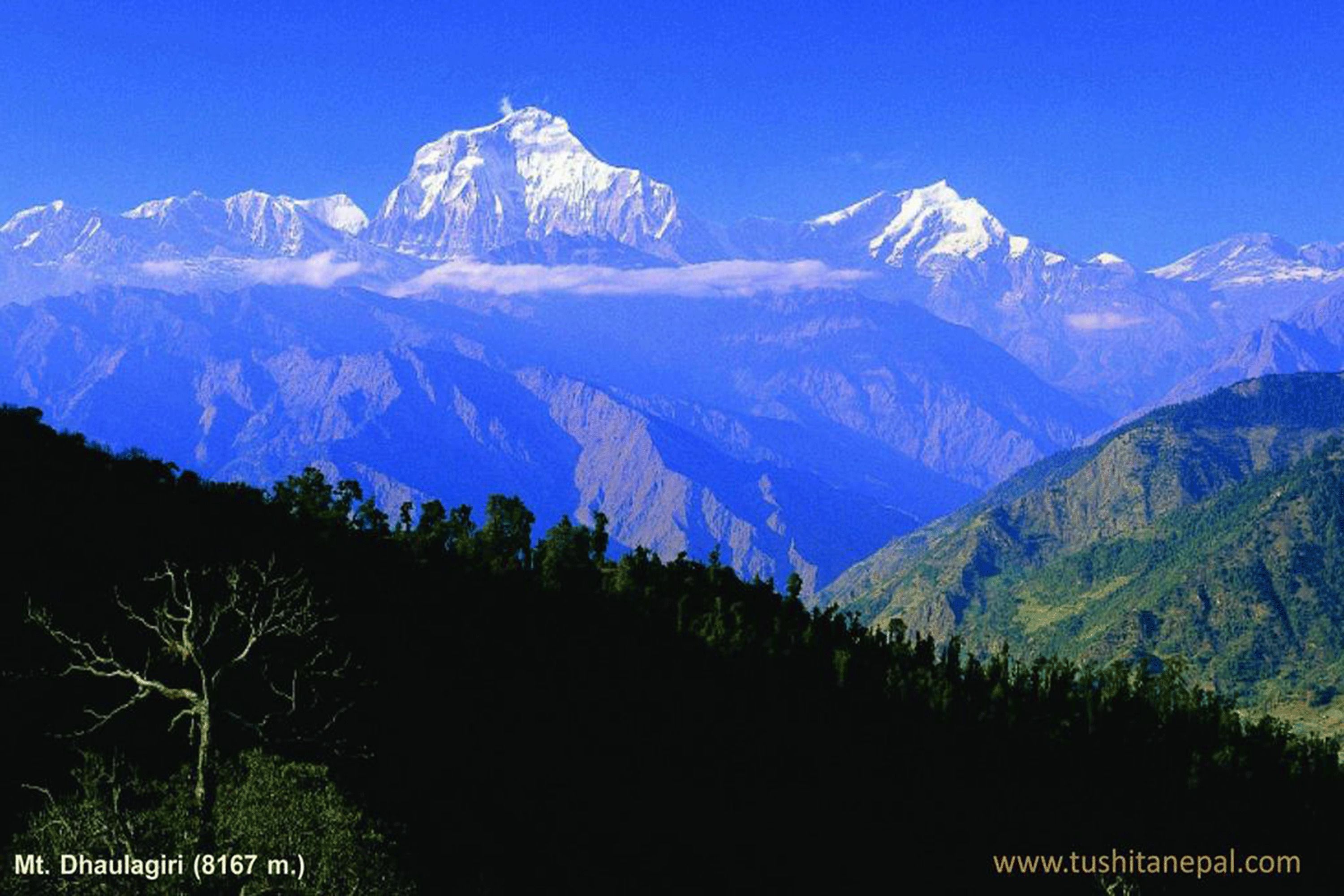 Standard Room | Mountain view