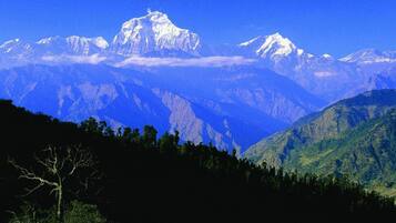 Standard Room | Mountain view