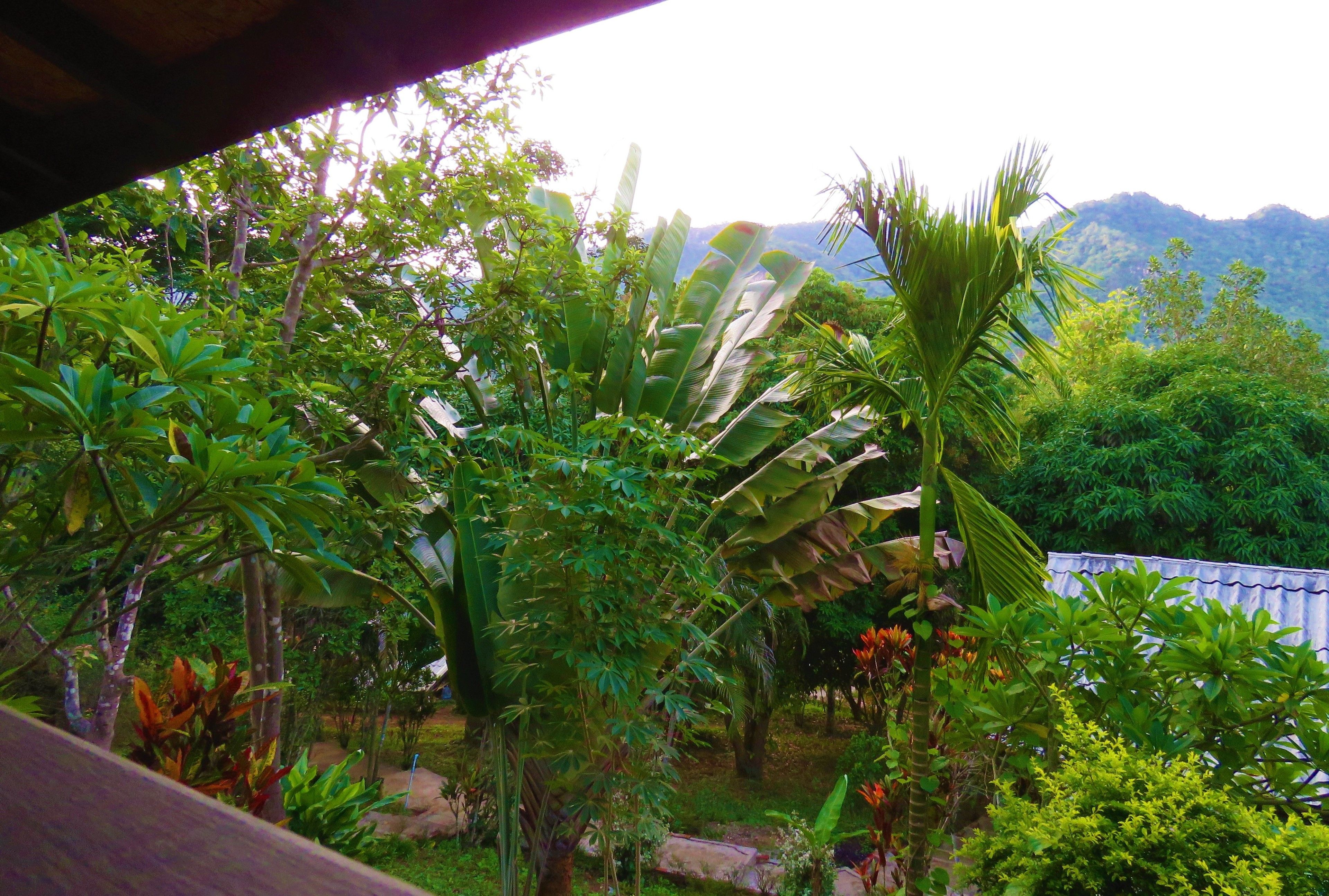 Photo - Hillside - Nature Lifestyle Lodge