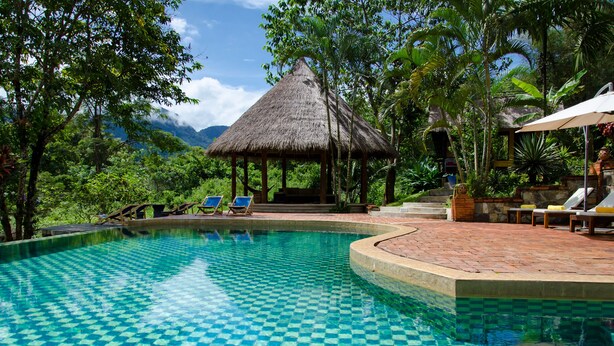 A pool with a checkered pattern, surrounded by lush greenery and a thatched-roof pavilion.