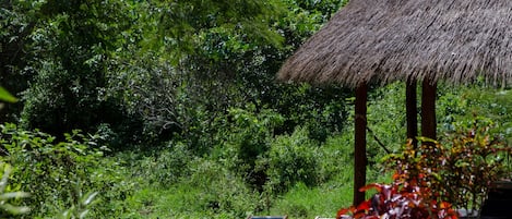 Kolam renang outdoor, dengan kursi berjemur