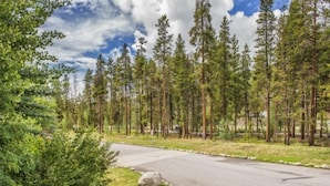 A forested area with a paved road curving through it.