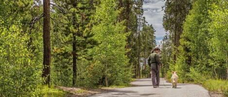 المنطقة المحيطة بالمنشأة