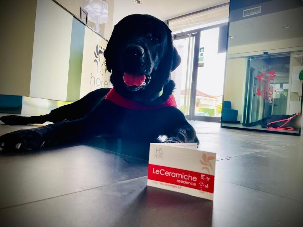 Aceita animais de estimação