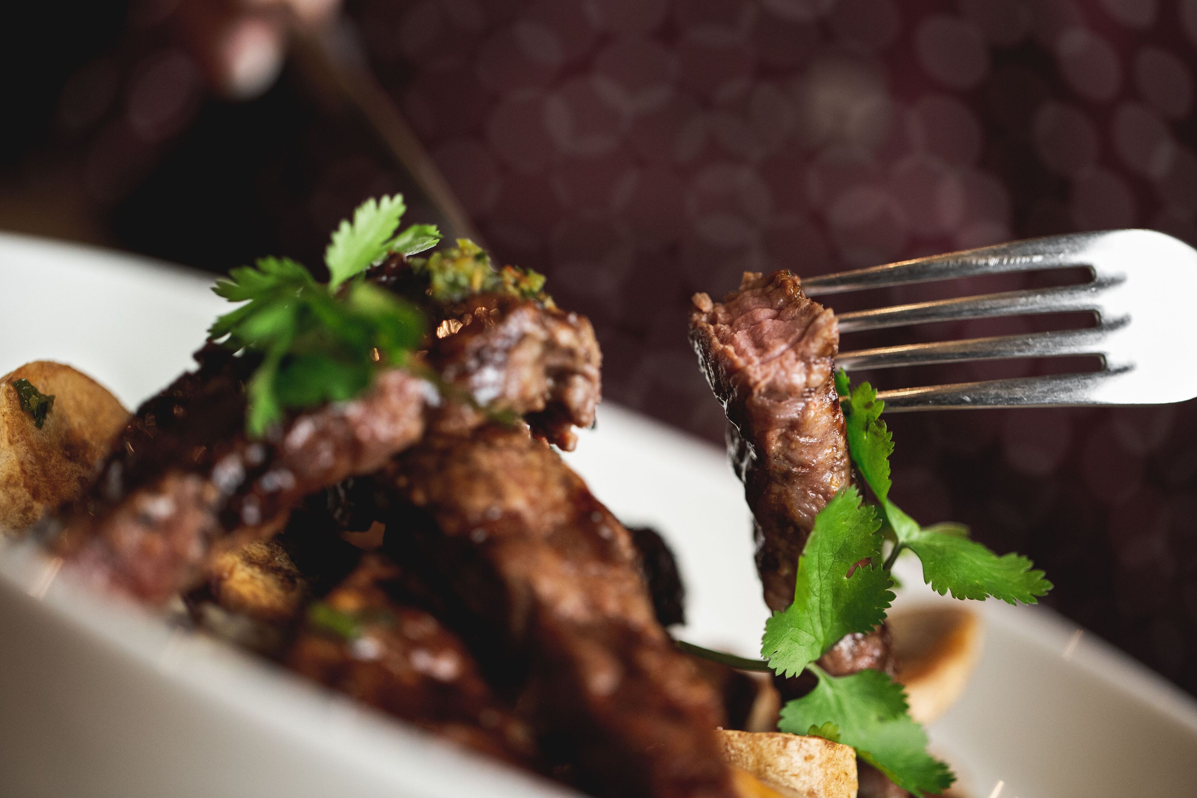 Ein Nahblick auf ein Gericht mit Fleisch und Gemüse, garniert mit Kräutern, auf einem weißen Teller.