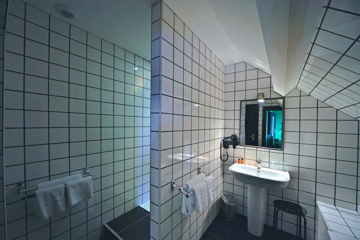 triple room | bathroom shower