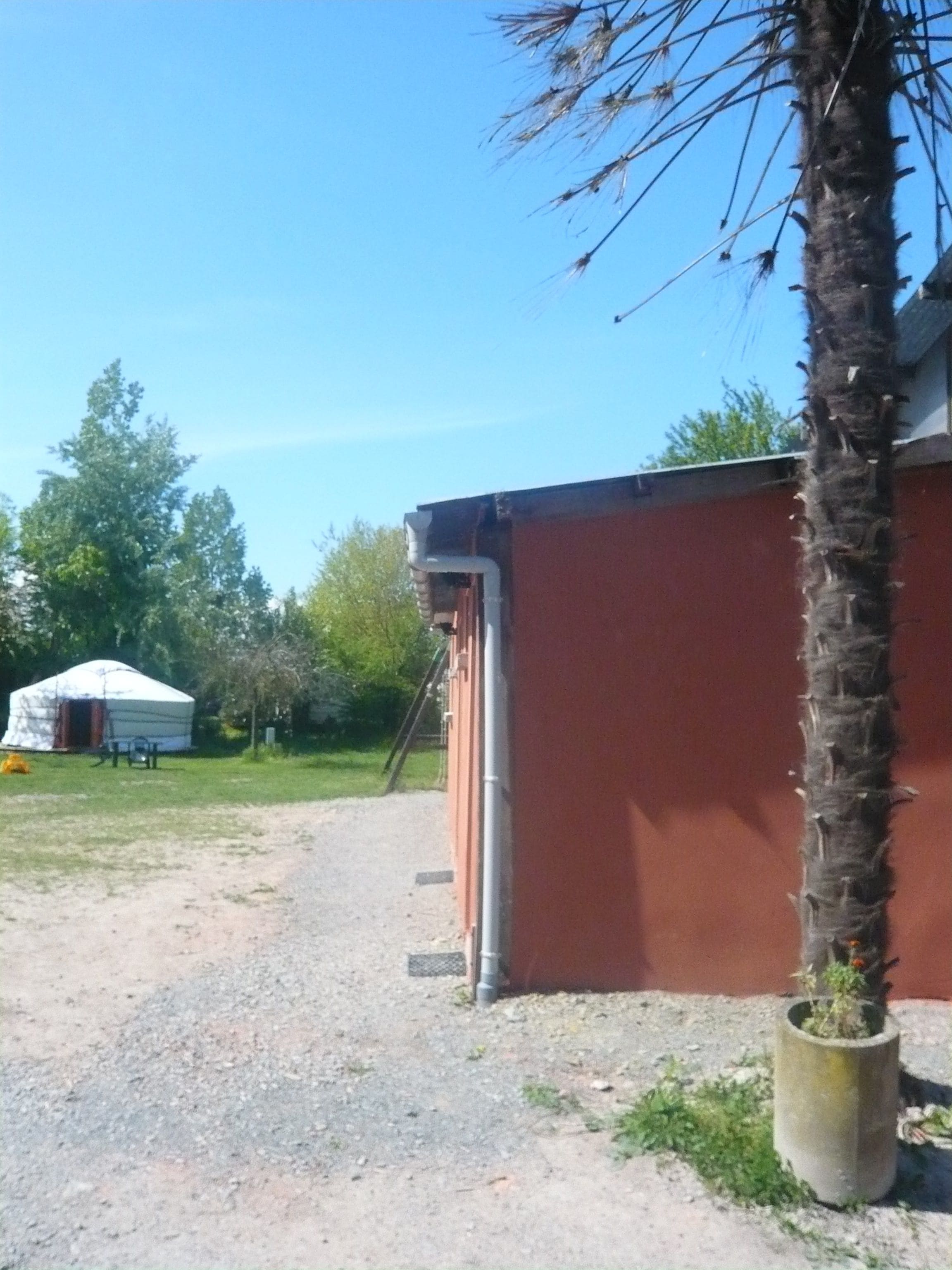 A building with a red exterior, a concrete planter with a tree, and a white tent in the background.
