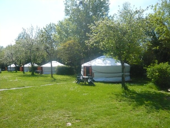 Yurts in a grassy area with trees and a picnic table.