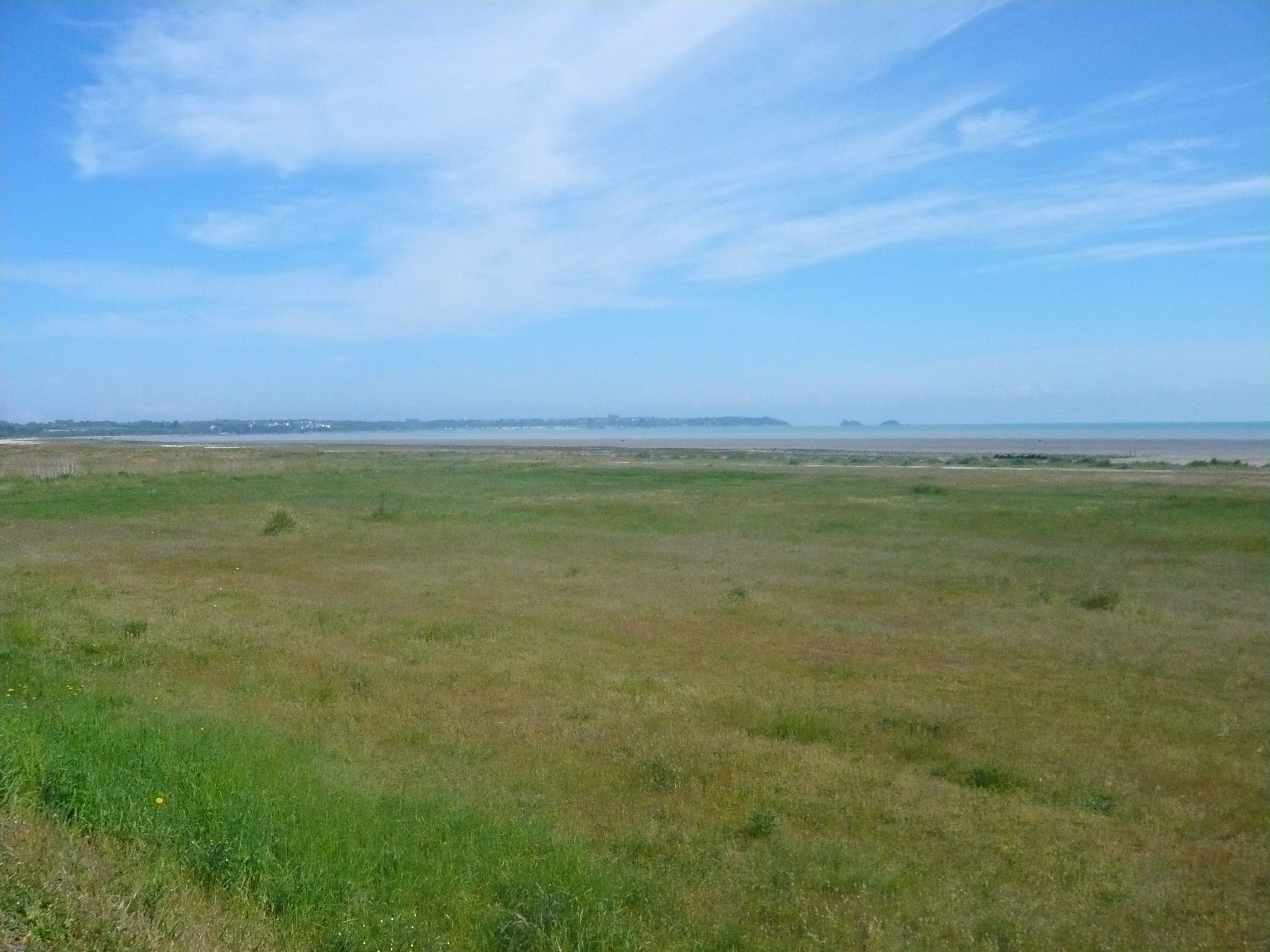 Un vaste champ ouvert, avec un horizon lointain et un ciel dégagé.