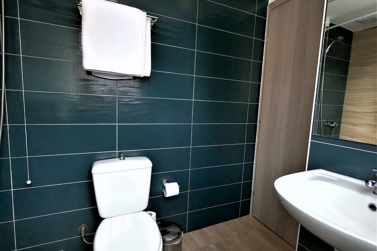 double room, private bathroom | bathroom | shower, free toiletries, hair dryer, towels