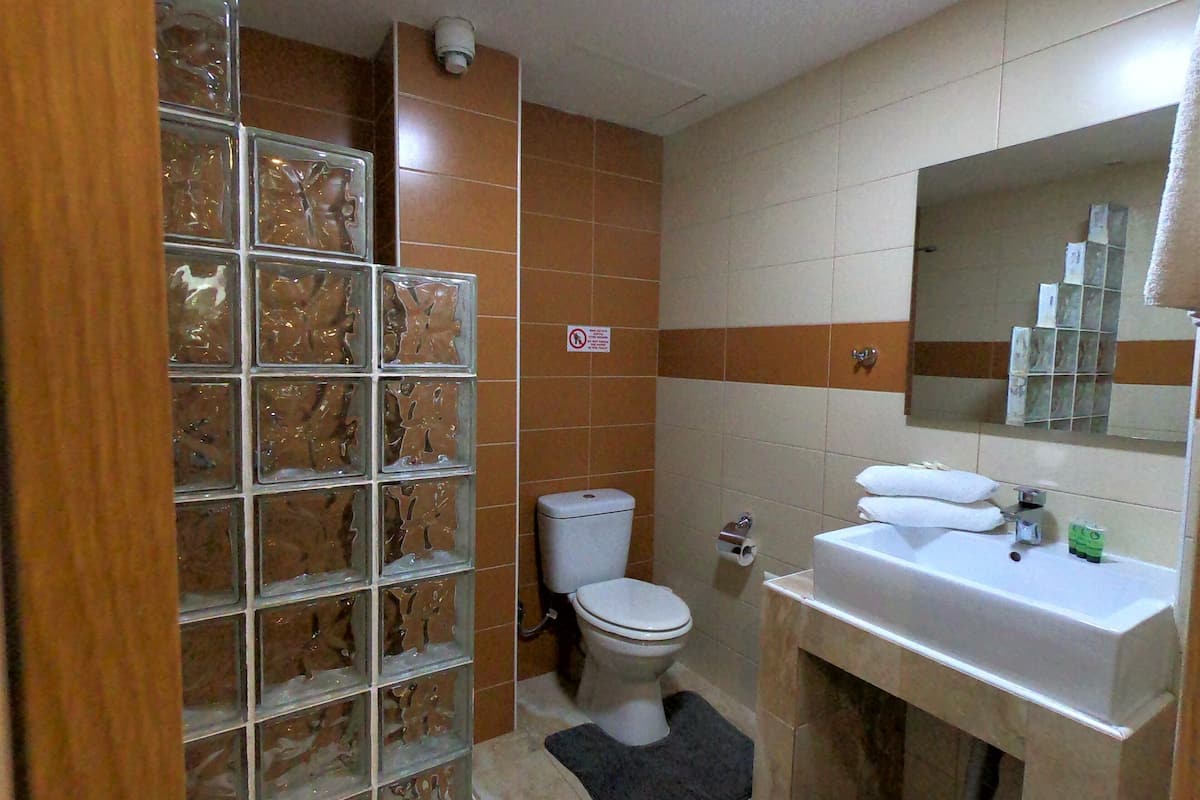 superior double room, private bathroom | bathroom | shower, free toiletries, hair dryer, towels