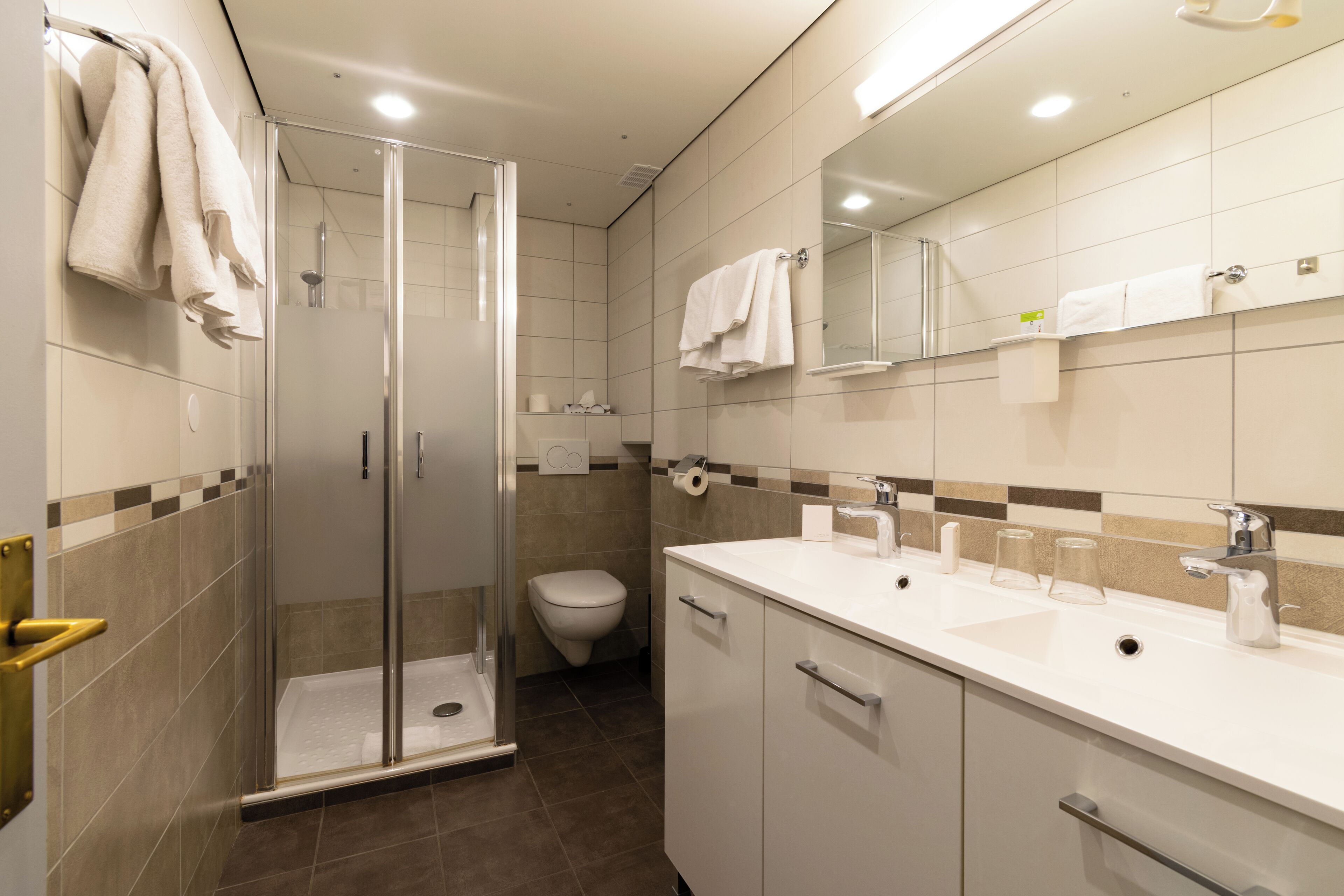 A modern bathroom with a glass shower enclosure, a toilet, and a vanity with a mirror.