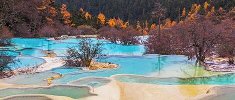 Terraced mineral pools in a natural setting with surrounding forest.