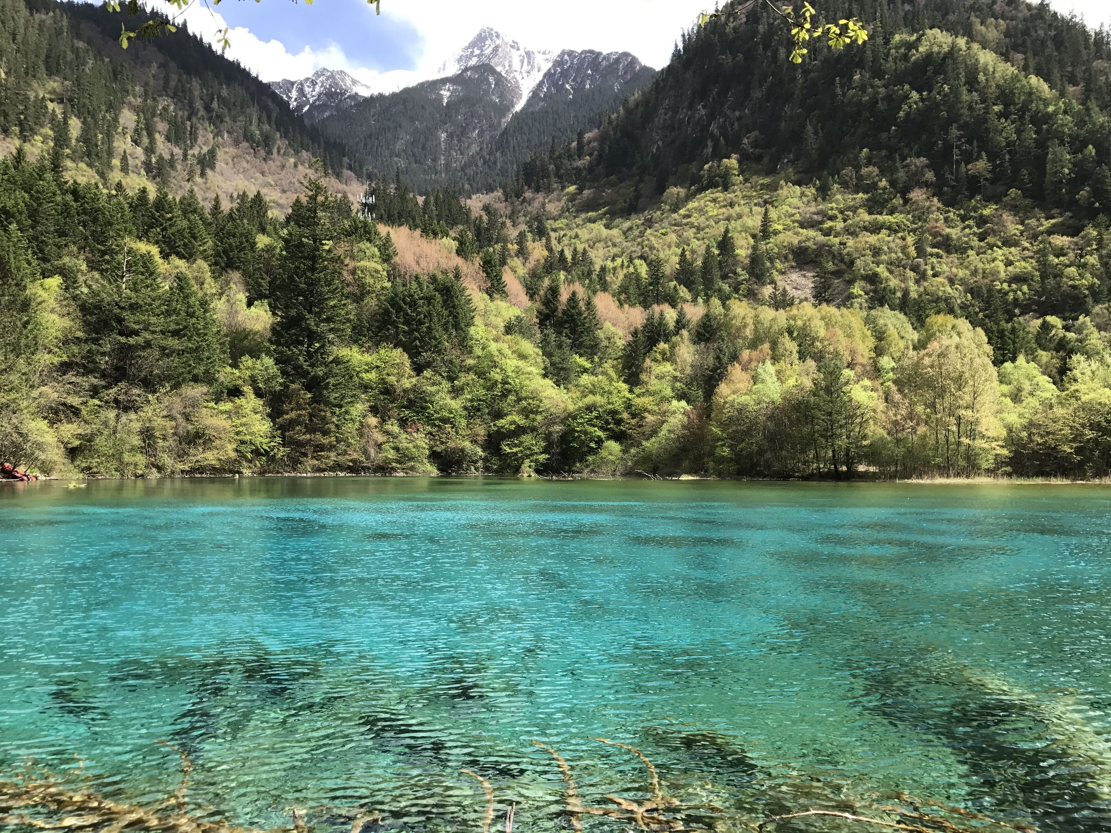 A clear lake surrounded by dense forest and mountains.