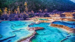 Un área de aguas termales en terrazas, con agua cristalina y un bosque en el fondo.