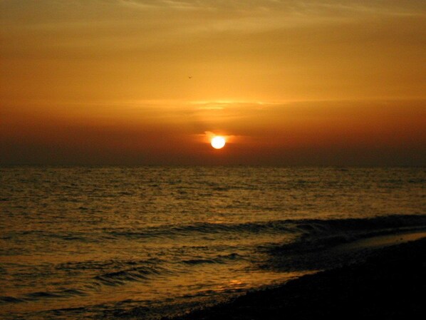 Superior Apartment, 2 Bedrooms | Beach/ocean view