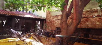 Art Factory Beer Garden - Hostel