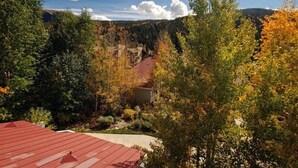 Ein Gebäude, umgeben von dichtem Wald, vor blauem Himmel.