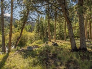 Une zone boisée avec de grands arbres, un sentier bien tracé et une petite construction en arrière-plan.