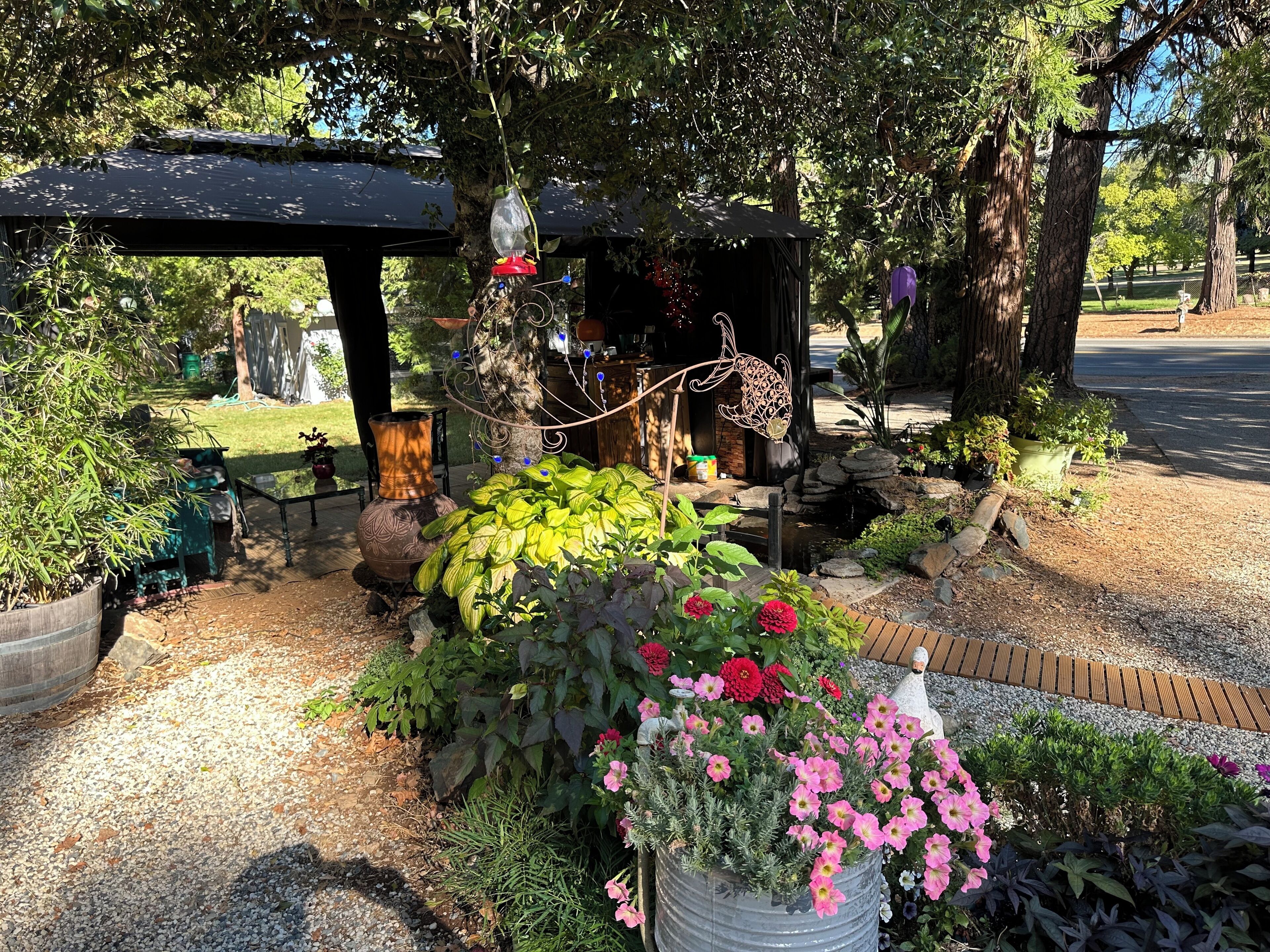 Deluxe Studio Suite, 1 King Bed, Kitchen, Ground Floor | Courtyard view