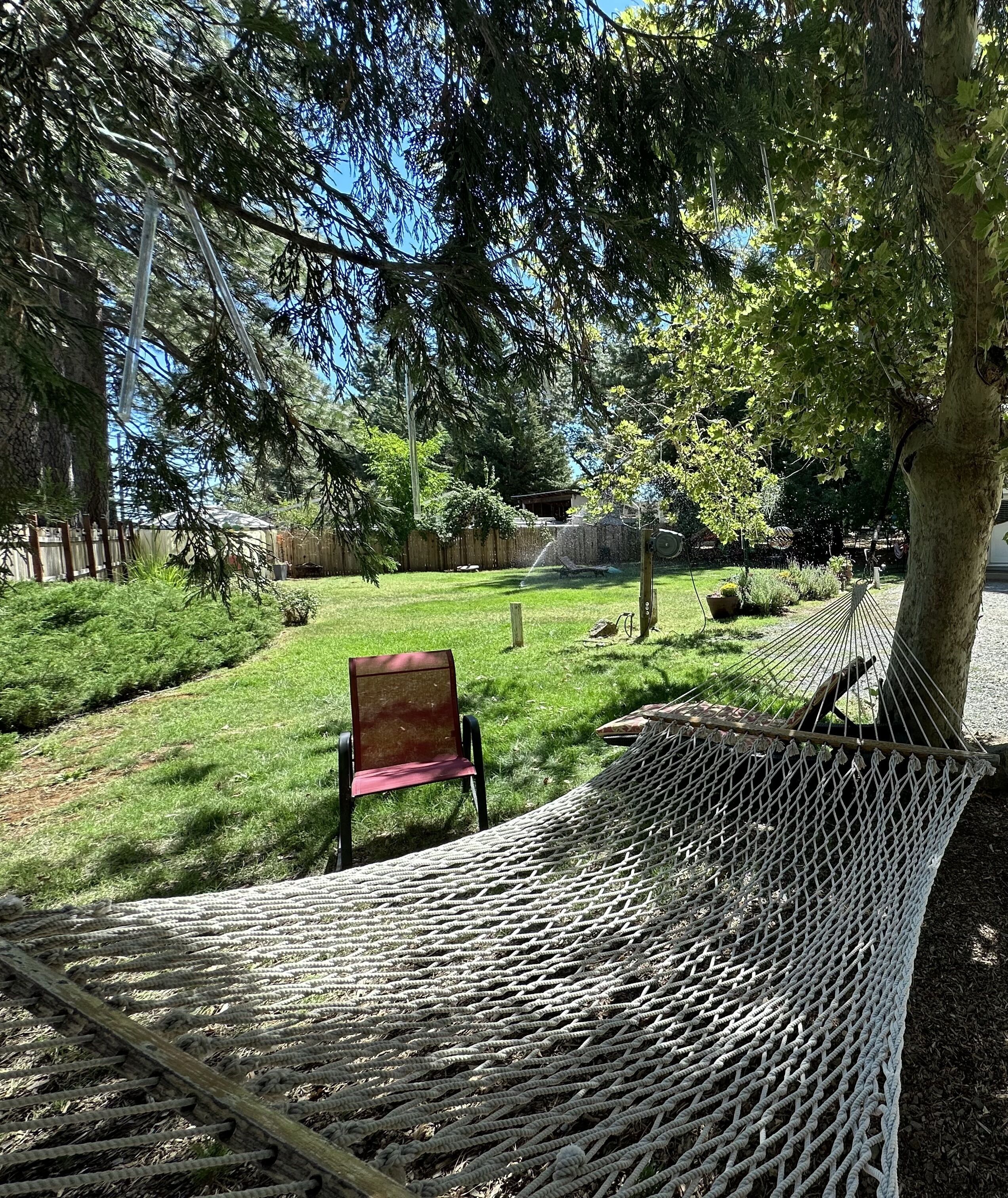 Un hamac et une chaise rouge sont installés dans un espace herbeux, avec des arbres et une clôture en bois en arrière-plan.