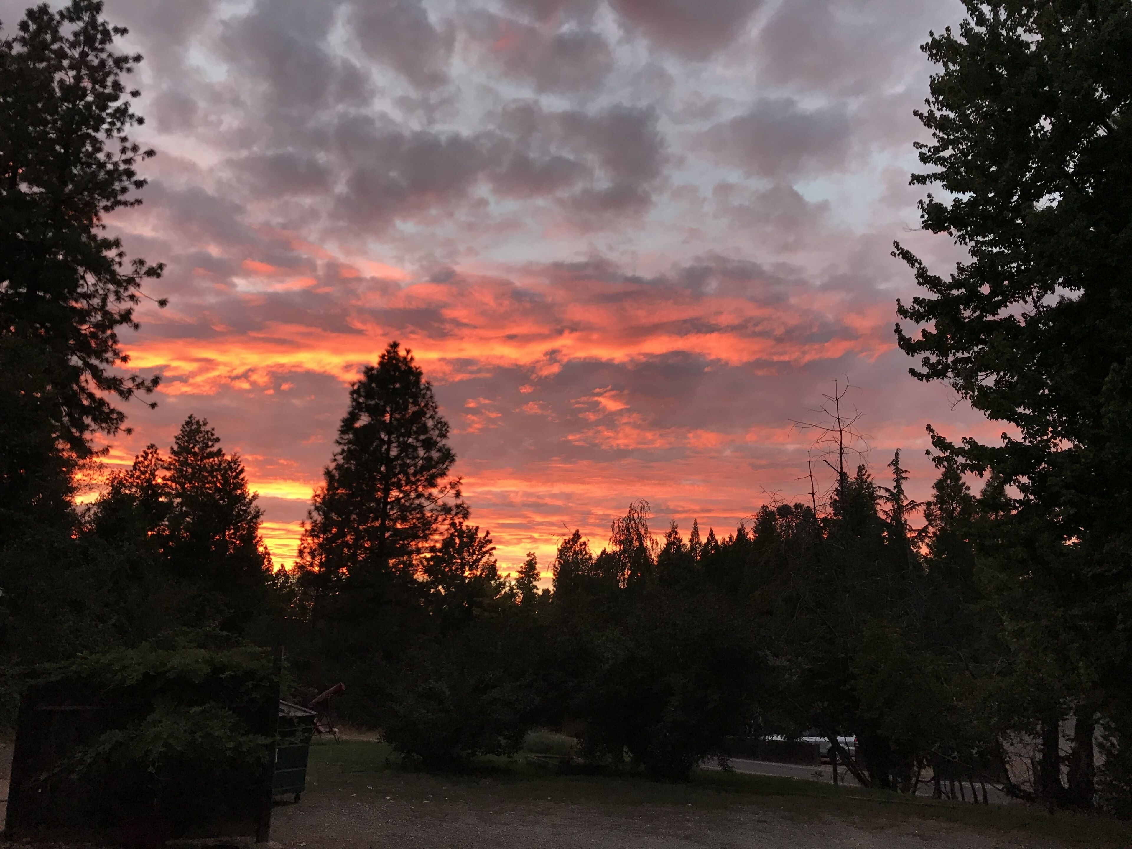 Auringonlaskunäkymä, jossa on puita ja kirkas taivas.