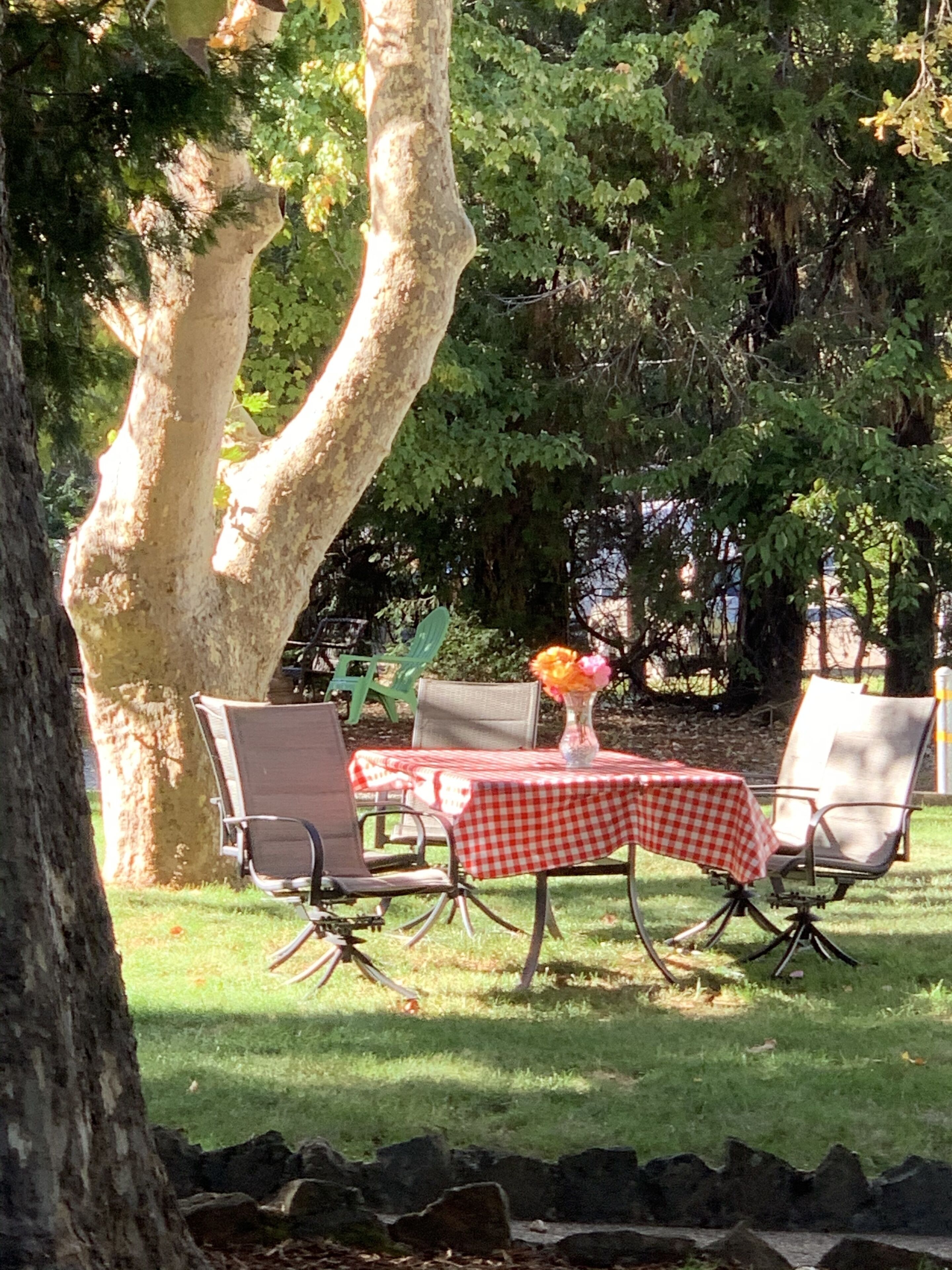 An outdoor dining area with a checkered tablecloth, metal chairs, and a vase of flowers.