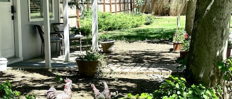 Comfort Cottage, 1 Bedroom | Terrace/patio