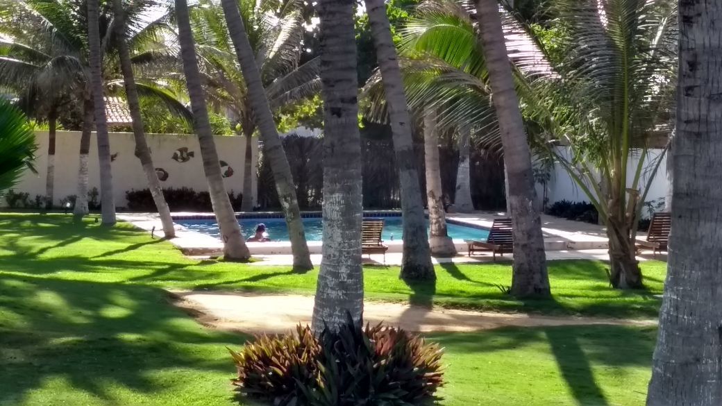 حمّام سباحة خارجي