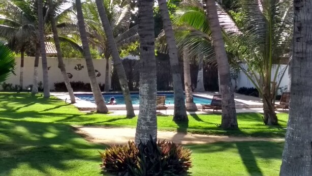 Zona de piscina con palmeras y un césped cuidado.