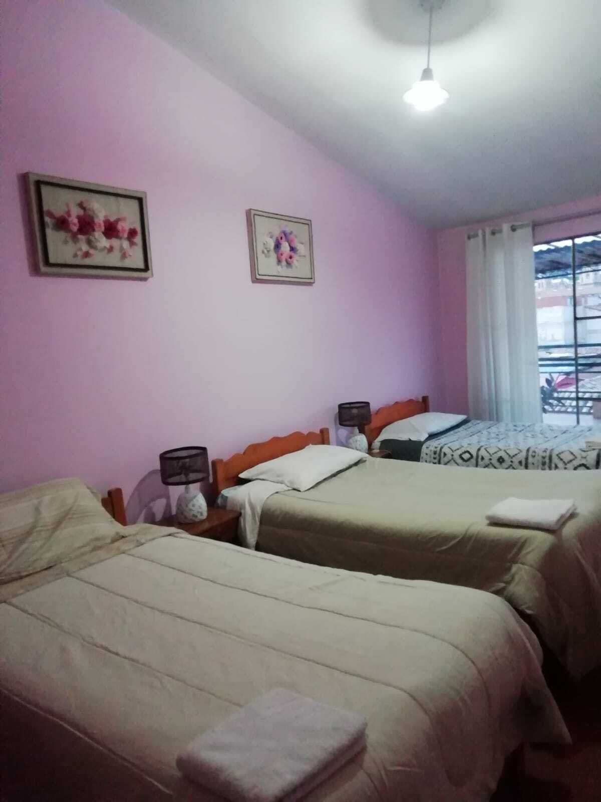 Una habitación con dos camas, una ventana con vistas y dos cuadros en la pared.