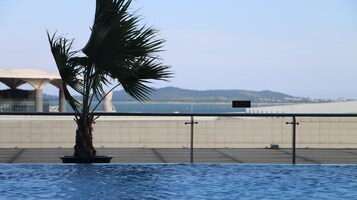 Una palmera a la orilla del agua, con vista a un puente y colinas distantes.