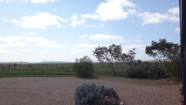 A gravel driveway leading to a landscaped area with a small bush and two trees. - Windana Cottages (Hawker)