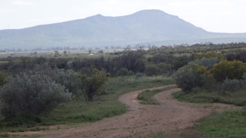 山景