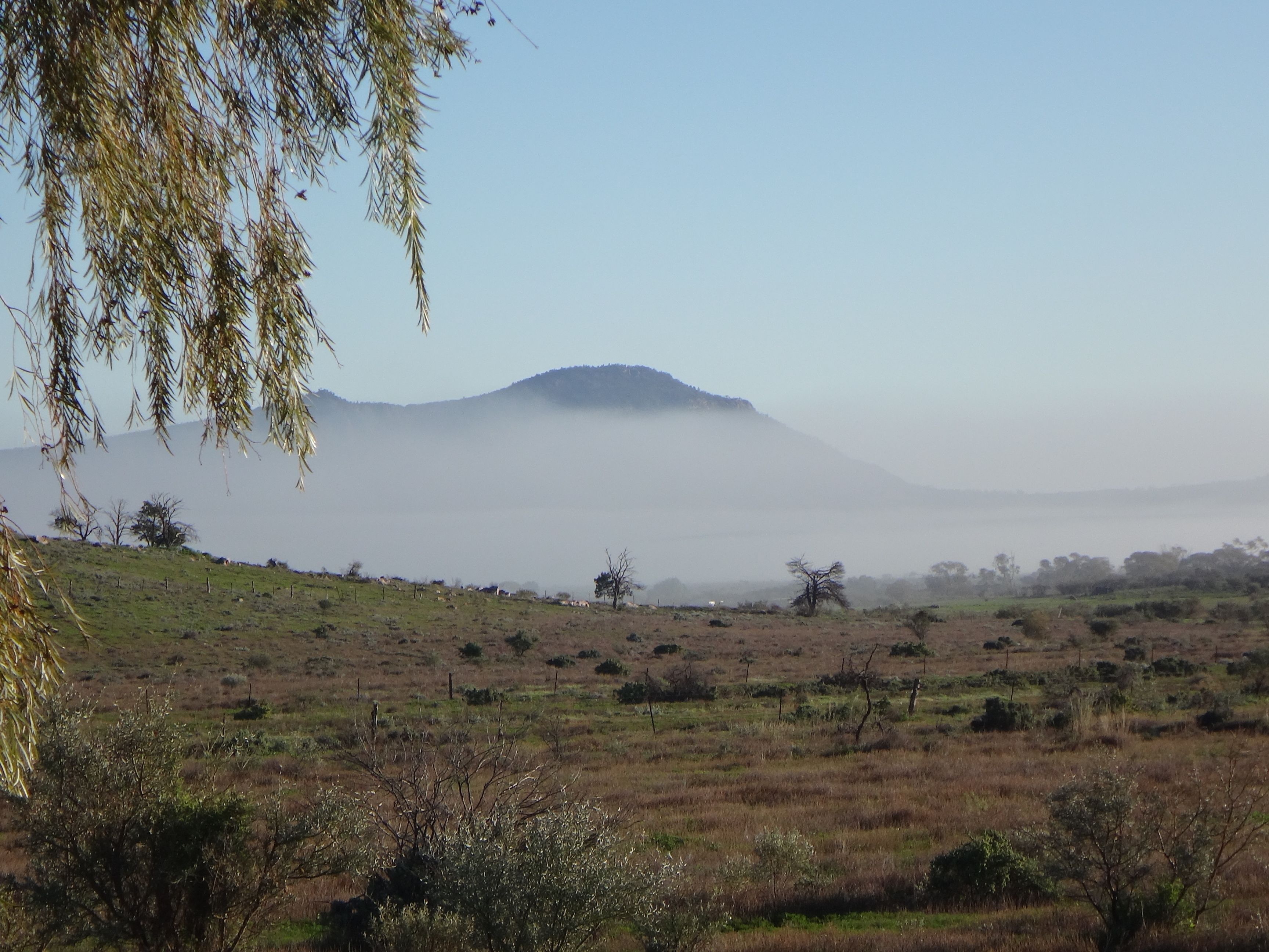 Un paysage plat, avec une végétation clairsemée, et une montagne lointaine partiellement dissimulée par le brouillard.