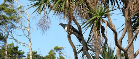 Un árbol con un pájaro posado en una rama.
