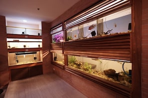 Bar (on property) - 1775 Adriatico Suites (Manila)