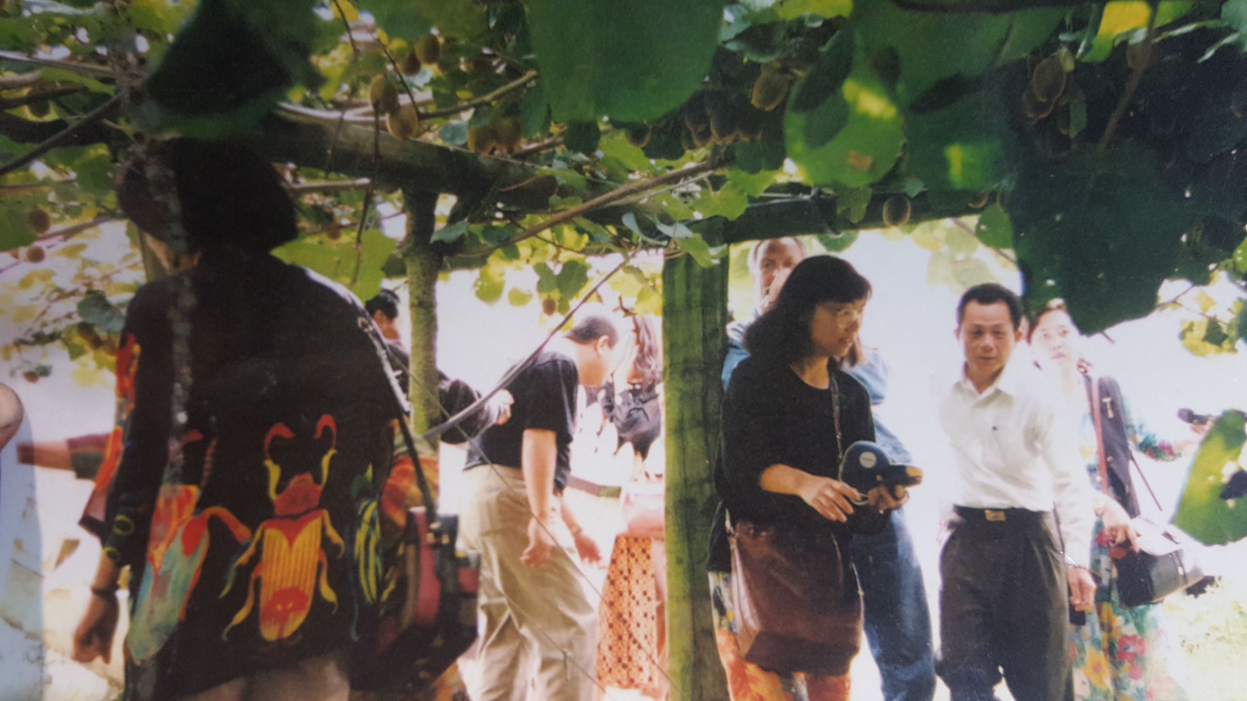 起居區