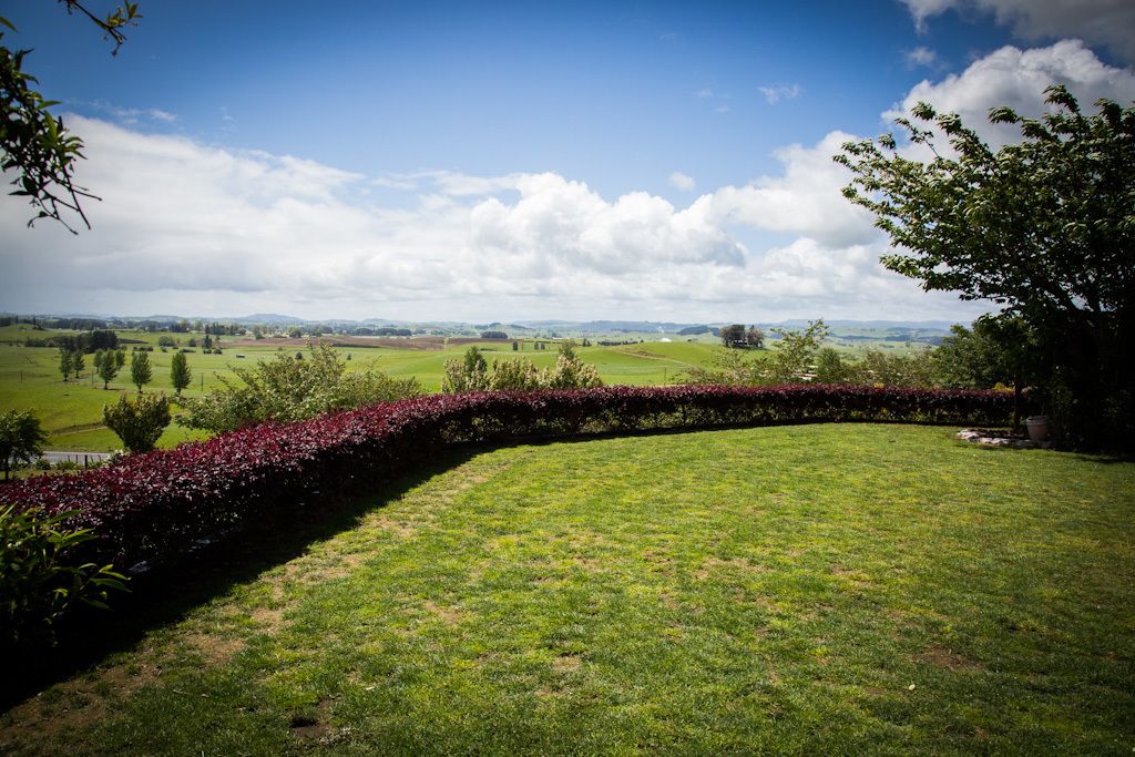 A grassy field with a curved hedge and a tree on the right.