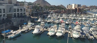 Studio Suite at Marina Cabo Plaza
