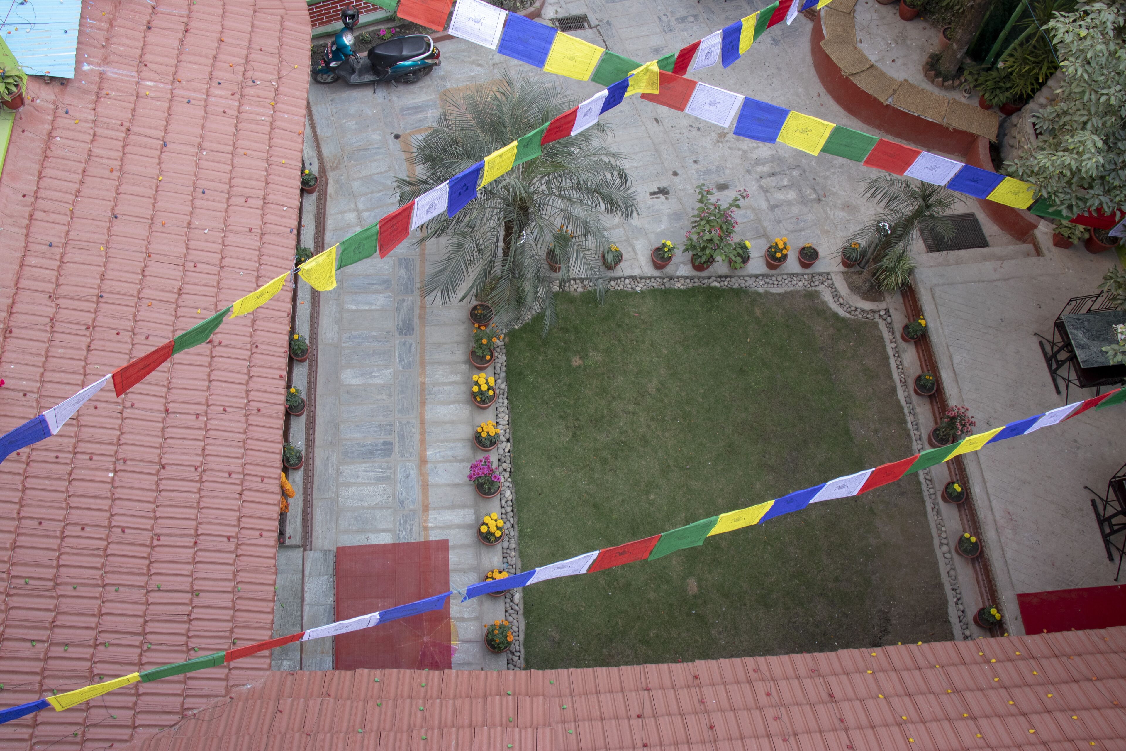 Foto - Hotel Green Horizon