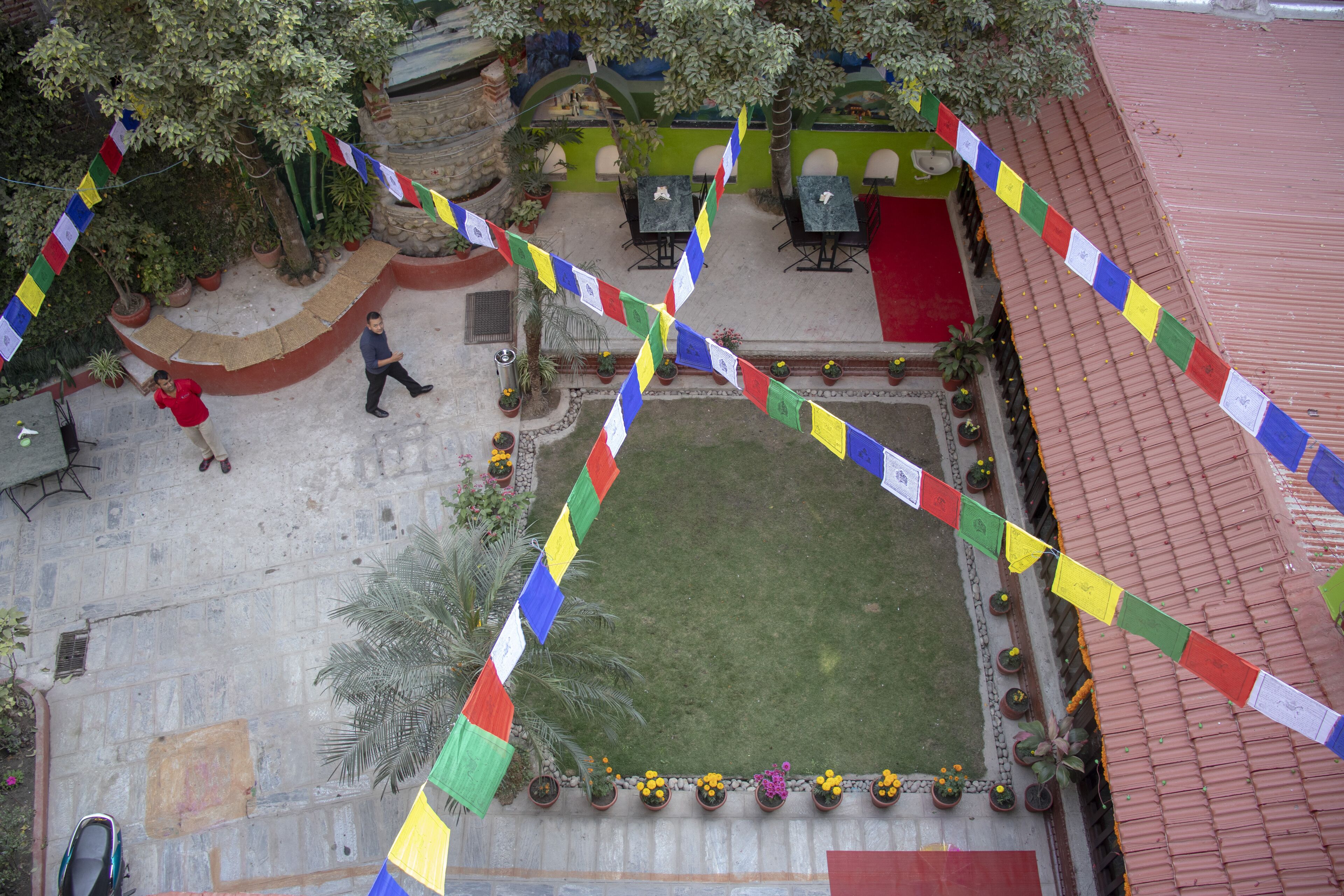 Foto - Hotel Green Horizon