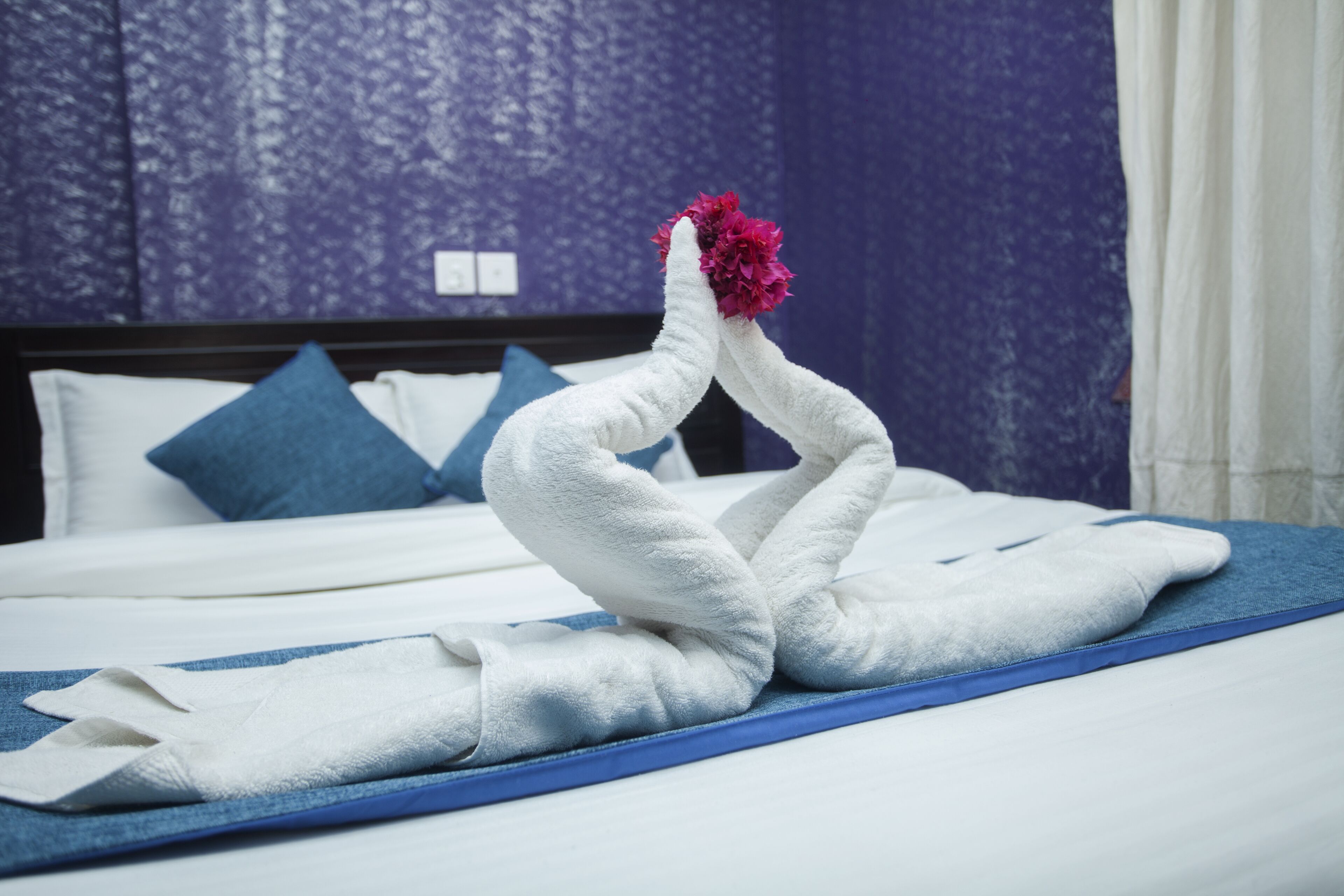 Foto - Hotel Green Horizon