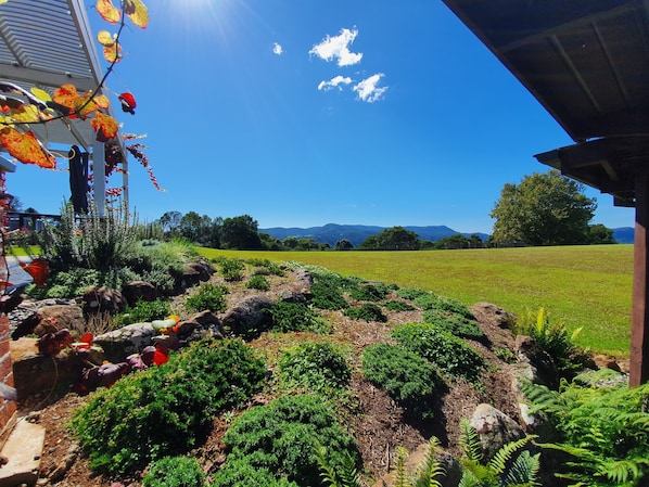 Vue sur le jardin