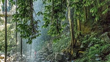 Une cascade naturelle, entourée d’une végétation luxuriante et d’un paysage rocheux.