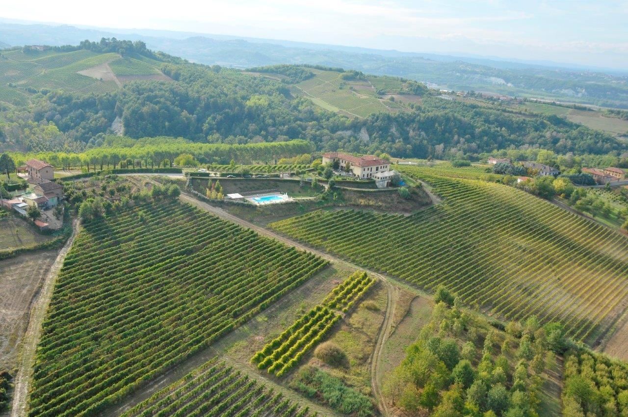 Un vignoble avec des rangées de vignes, une piscine et une grande demeure entourée d’une végétation luxuriante et de douces collines.
