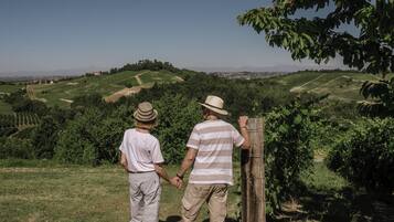 Deux personnes se promènent sur un sentier herbeux dans un vignoble, avec des rangées de vignes et un ciel dégagé.