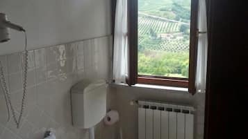 Une petite salle de bain avec des toilettes, un bidet et une fenêtre avec des rideaux.