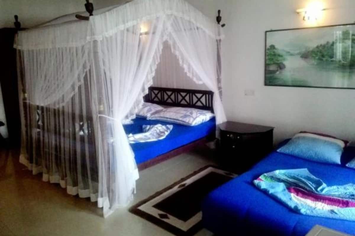 Premium bedding, minibar, in-room safe, individually decorated