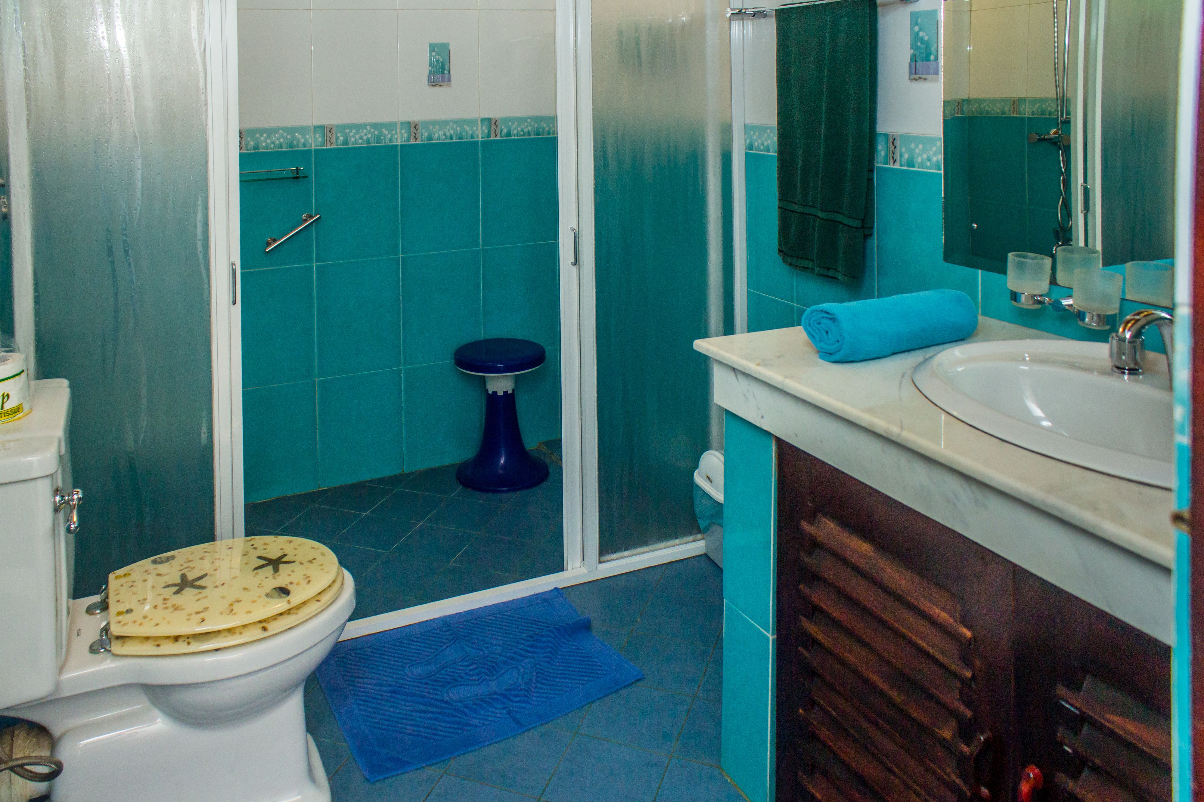 A bathroom with a toilet, shower, sink, and a blue mat.